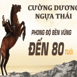 thuốc cường dương ngựa thái