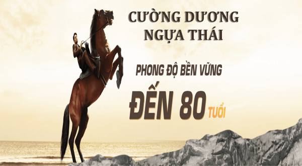 thuốc cường dương ngựa thái