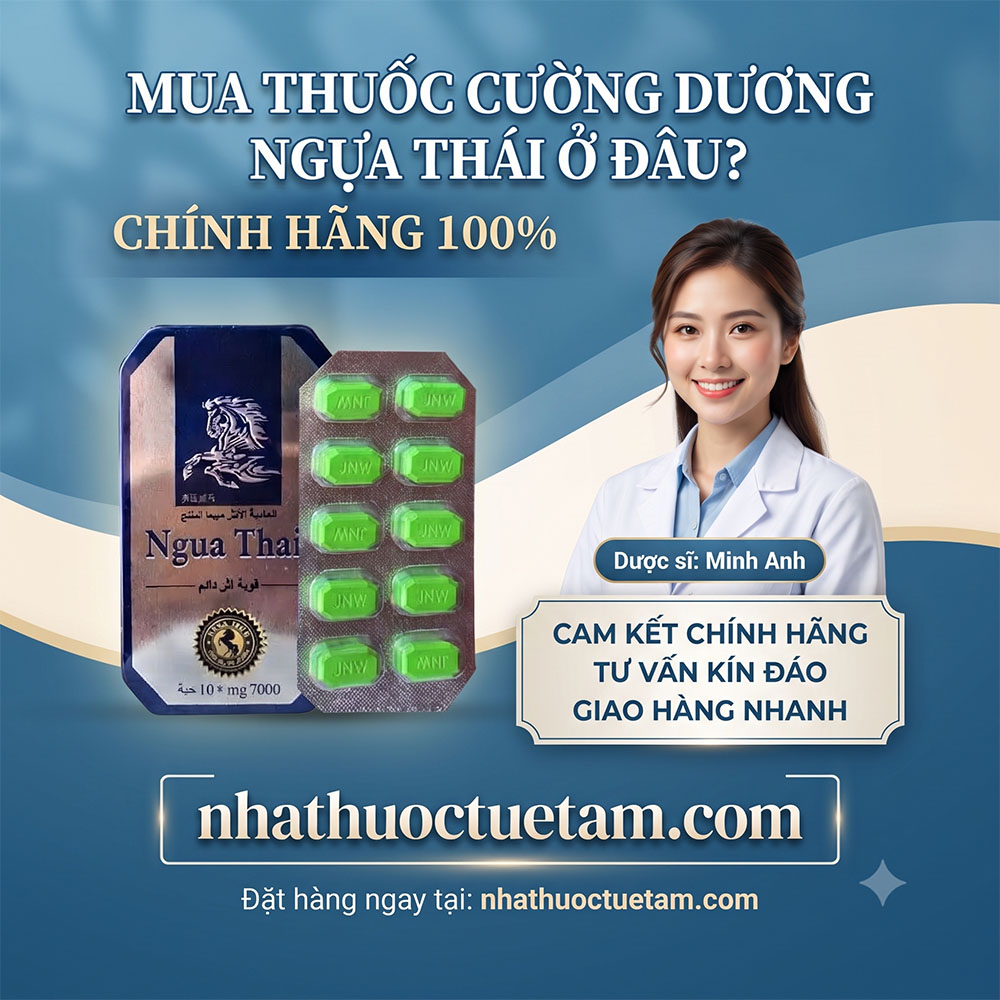 mua ngựa thái chính hãng ở đâu