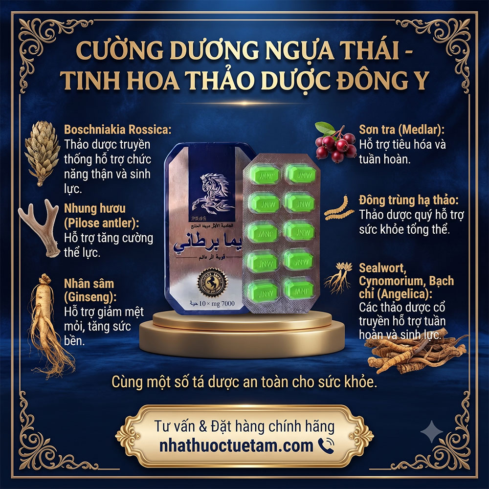 thành phần cường dương ngựa thái chính hãng