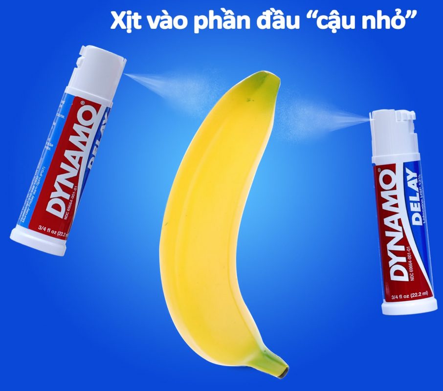 cách dùng dynamo delay