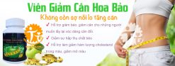 Viên giảm cân Hoa Bảo