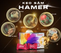 kẹo sâm hamer có thành phần gì