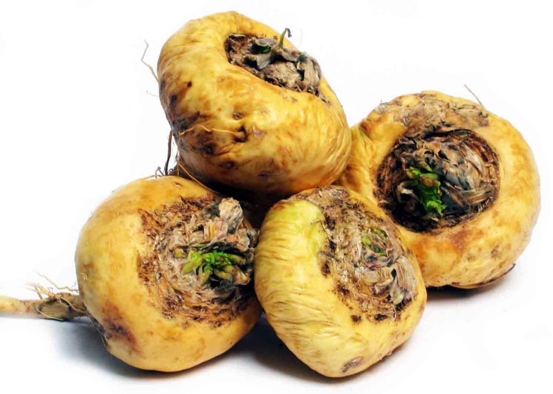 maca tăng cường sinh lý