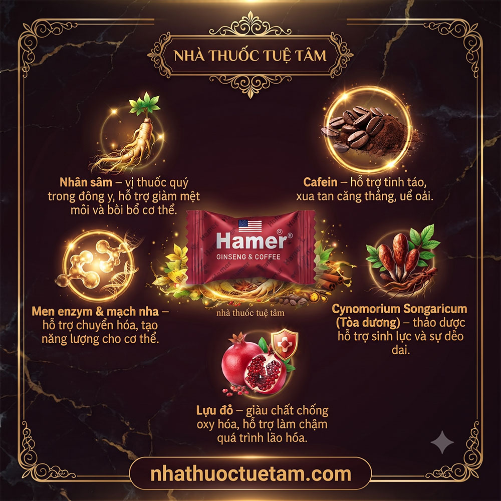 Kẹo sâm Hamer Mỹ có tác dụng gì, mua kẹo hamer ở đâu chính hãng - Ảnh 2